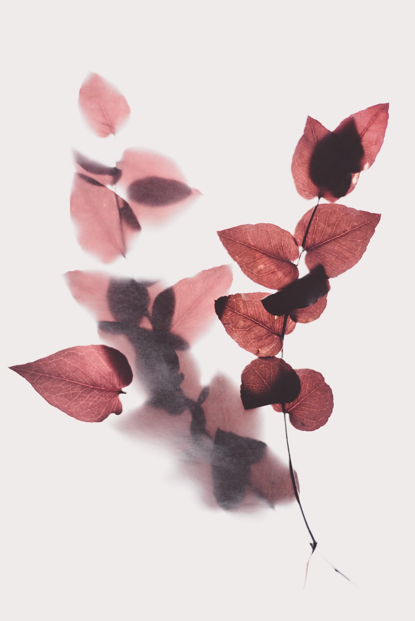 Variants - multiple